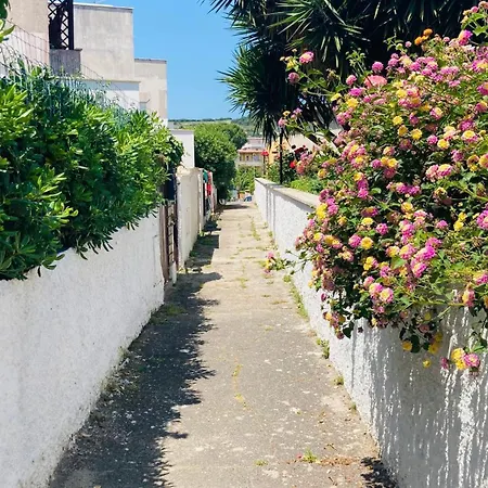 La Rosa Del Mare Semesterbostad