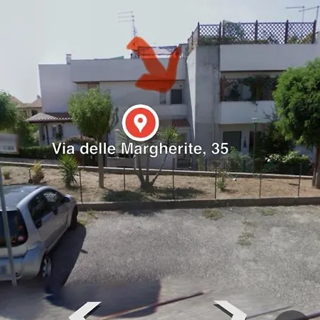 La Rosa Del Mare